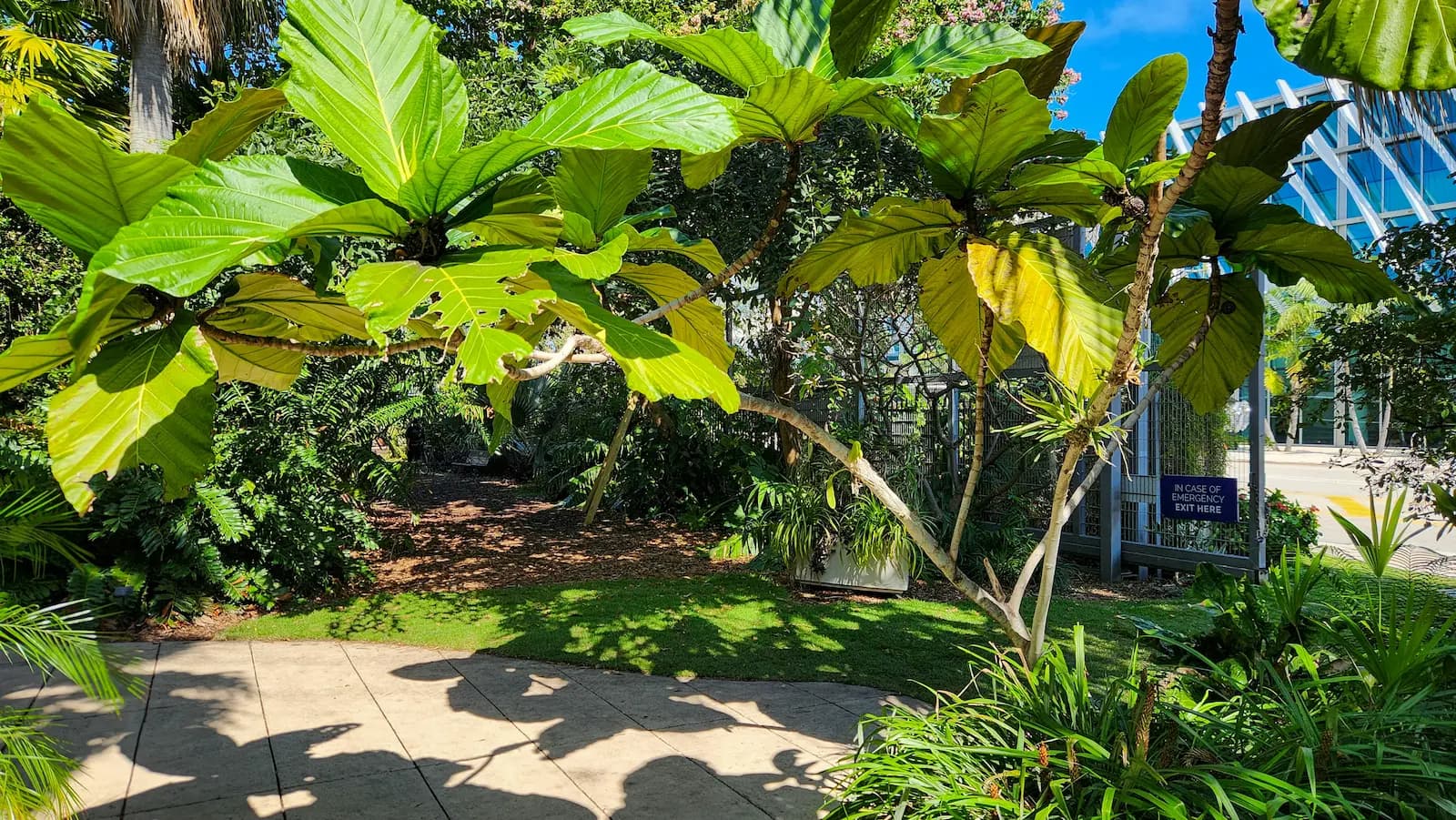 Landscaping in Miami, FL